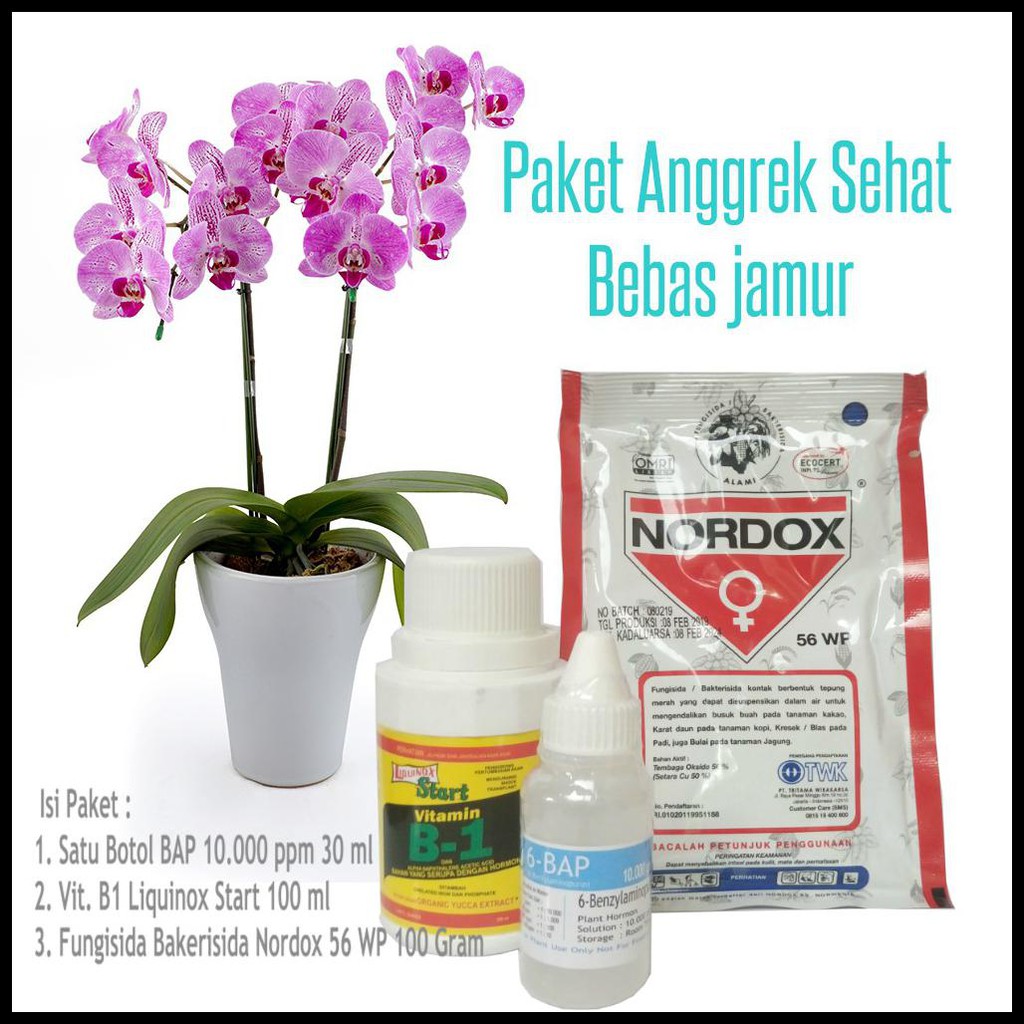 

PAKET NUTRISI ANGGREK SEHAT BEBAS JAMUR BEST PRODUK