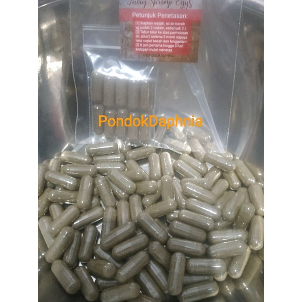 Paket Telur Artemia Air Tawar Fairy Shrimp Eggs isi 10 kapsul