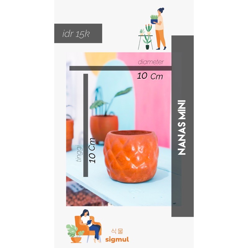 Pot Terakota / Pot Gerabah / Pot Teracotta / Tanah Liat Nanas Mini