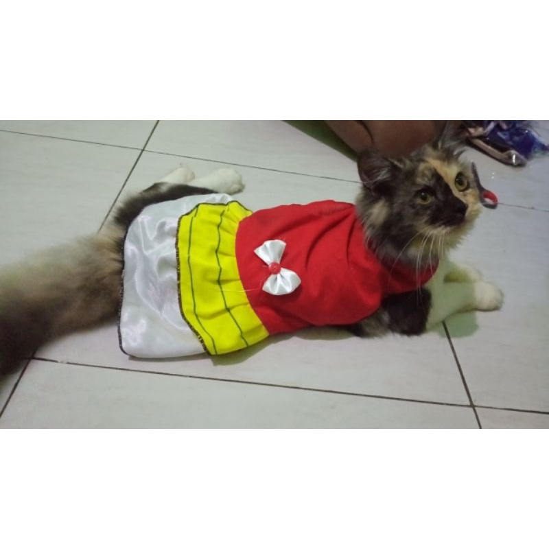 baju kucing /baju kucing murah / baju kucing rok berpita