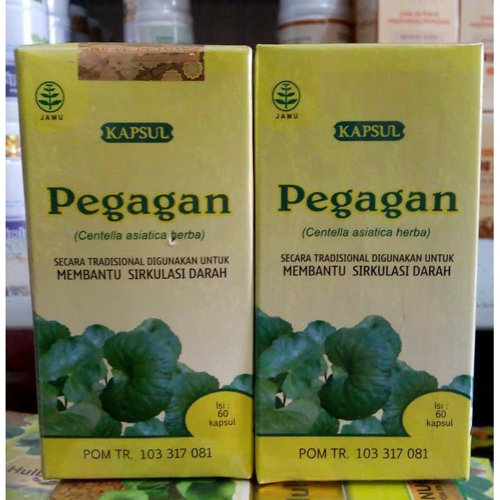 Kapsul Ekstrak Pegagan Tazakka DIJAMIN ASLI DAN ORIGINAL