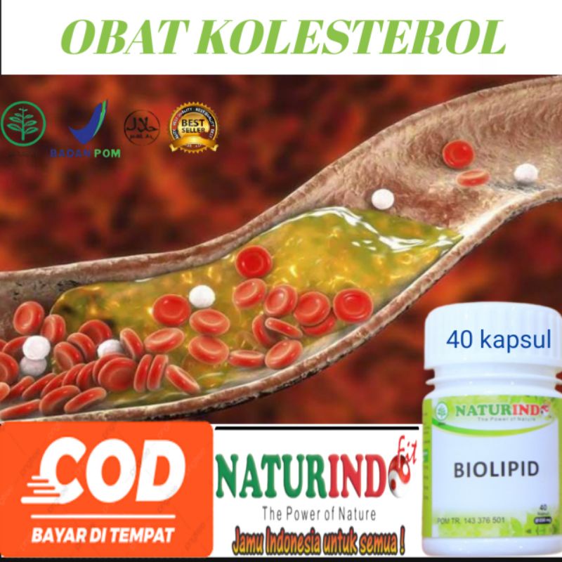 Jual Biolipid Obat Kolestrol Tinggi Ampuh Pelancar Peredaran Darah