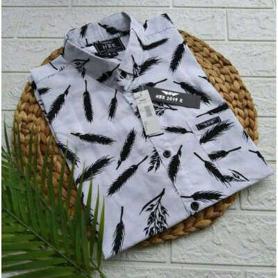 Kemeja Surfing Distro