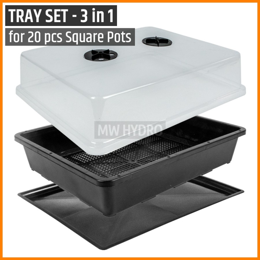 Tray + Base + Cover (3 in 1) INCLUDE 20 pcs 7cm Square Pot / Pot Kotak