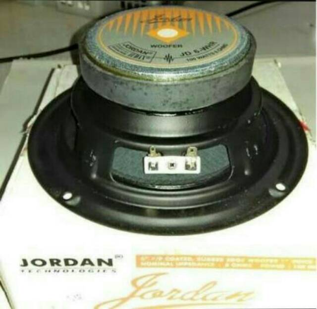 speaker jordan 12 inch