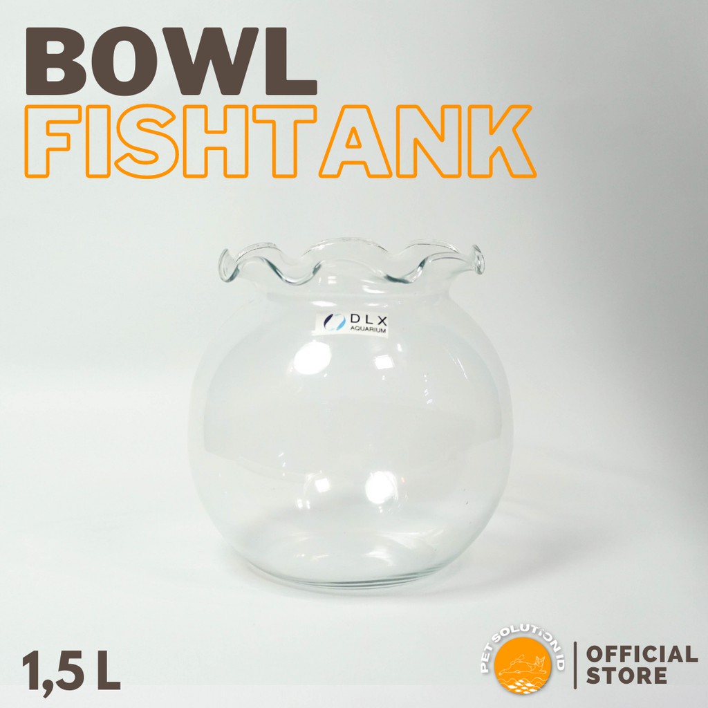 Aquarium bowl fish