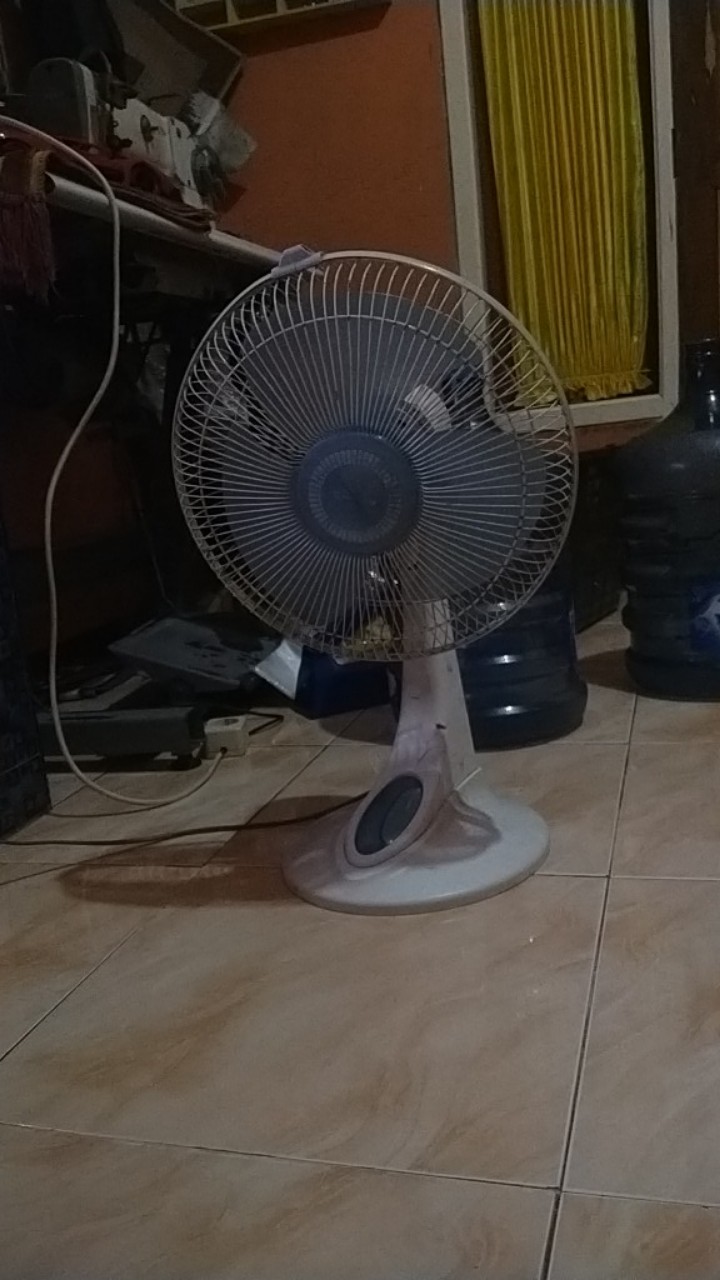 Petrogenol Perangkap Lalat Buah