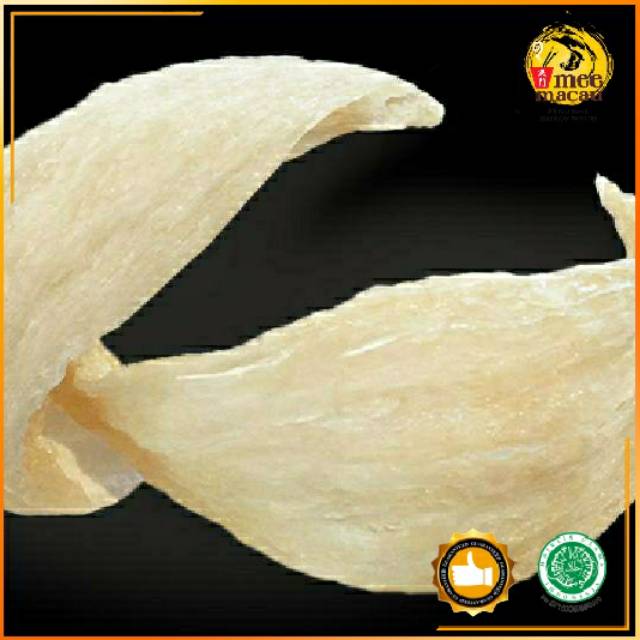 

SARANG BURUNG WALET ASLI PREMIUM 500g TANPA BAHAN KIMIA U/PARU-PARU u/ ANTIBODI