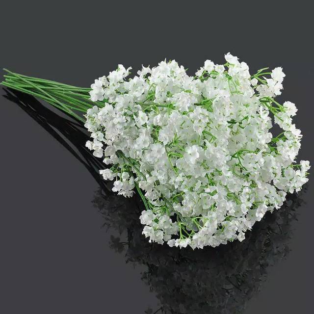  Bunga  baby breath babys breath satu  tangkai  Shopee Indonesia