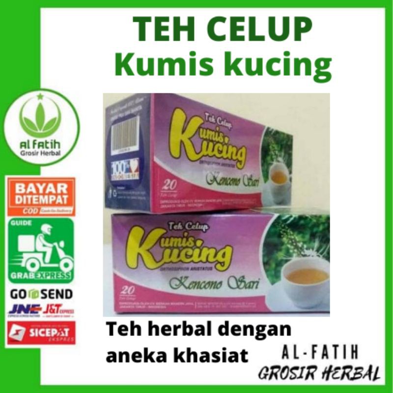 

Teh Celup Kumis kucing Kencono Sari teh Herbal Batu Ginjal