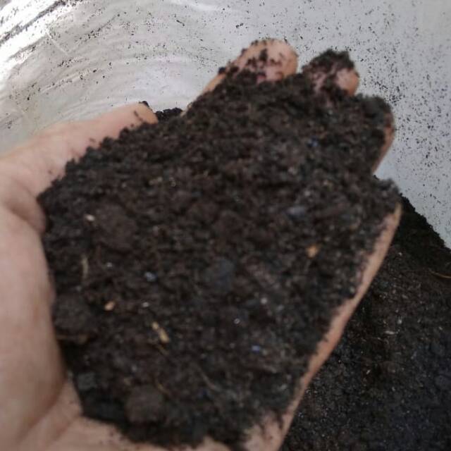 Media tanam repack 500gr - pupuk media tanam siap pakai