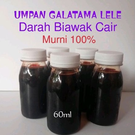 Umpan Galatama Lele Darah Biawak