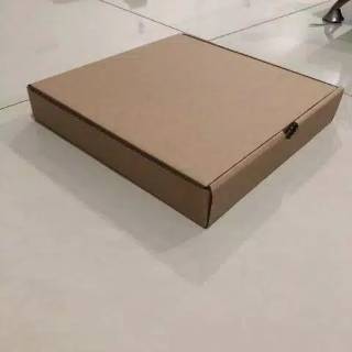 Kardus Box  Karton Packaging PIZZA  25x25x5 cm Ready 