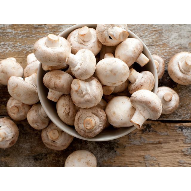 

Jamur Champignon 250 gram / pack