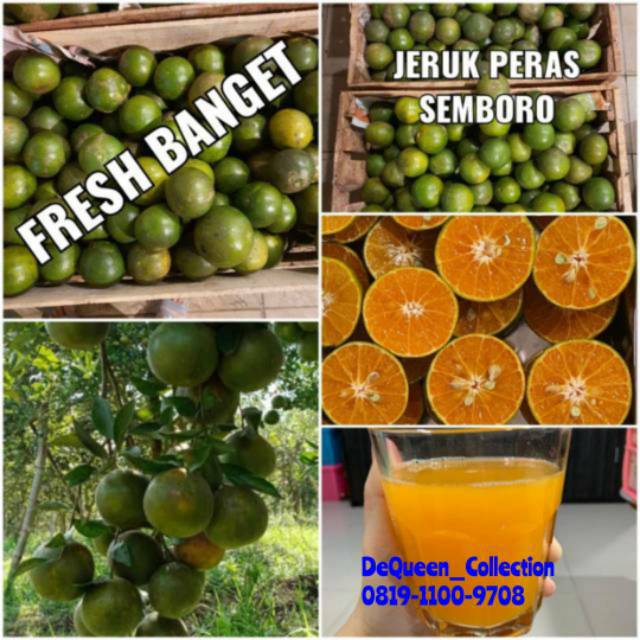 

JERUK PERAS SEMBORO JEMBER/JERUK KUPAS/SIAM DIJAMIN MANIS 500gram