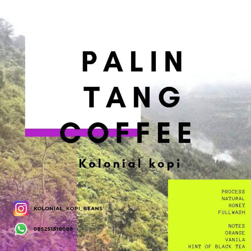 

Kopi Arabika Palintang