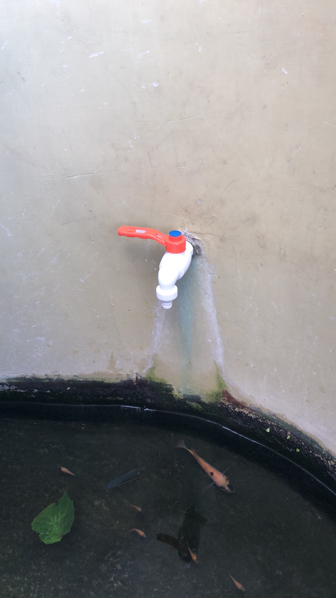 Kran Keran Air Plastik Pvc Jumbo