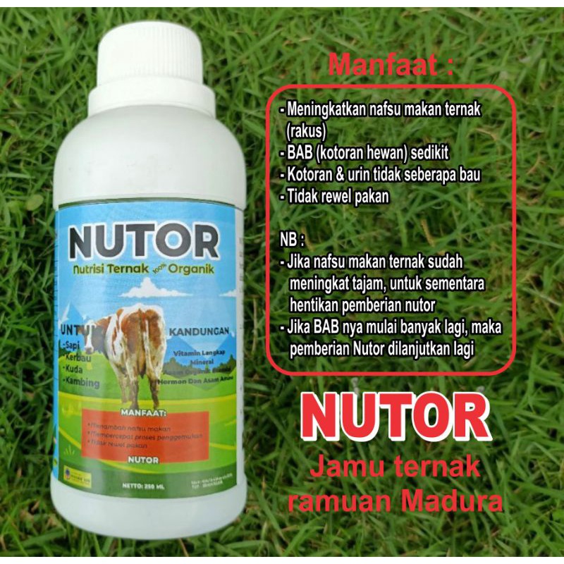 NUTOR - Suplemen PENGGEMUK Sapi, kambing, kuda ORGANIK