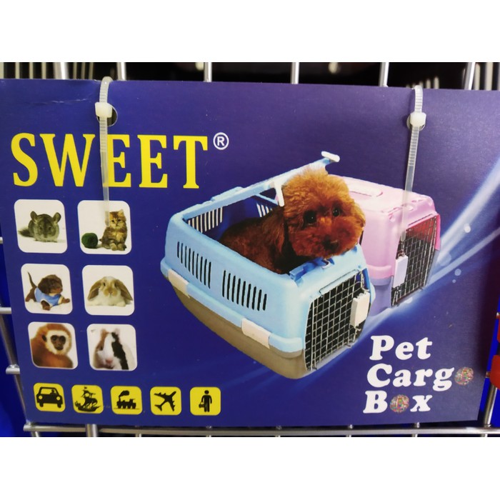 Pet Cargo Hewan Sweet 2 Pintu - Kandang Kucing, Anjing, Kelinci