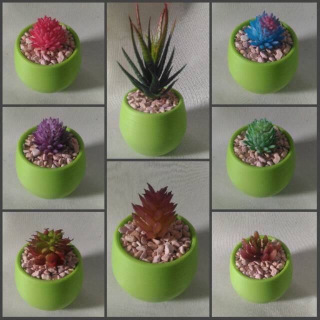 Set Pot Plastik Sukulen Artificial Palsu Imitasi Vas Plastik Kaktus Cactus Artificial Lidah Buaya