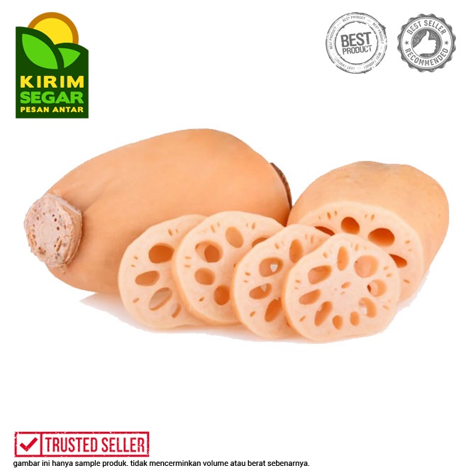 

Akar Teratai / Lotus Root / 400-500gr