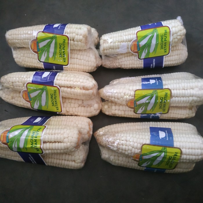 

KETAN-BERAS- JAGUNG KETAN SUPER 2 PICS/PACK -BERAS-KETAN.