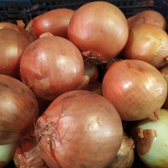 

Bawang Bombai / Bombay 500 gr