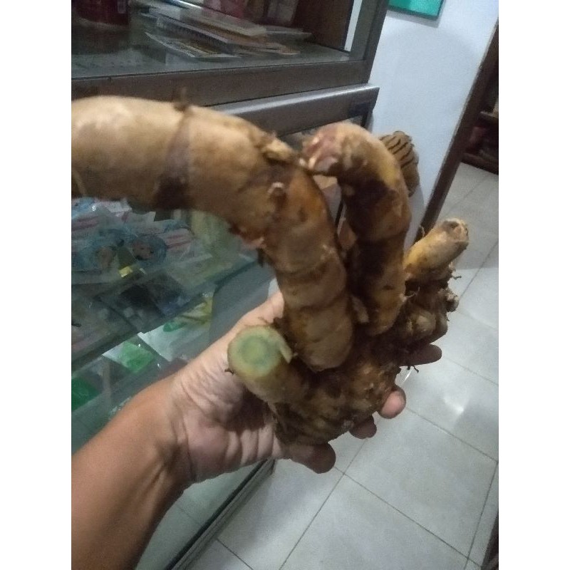 

Temu ireng segar 1kg
