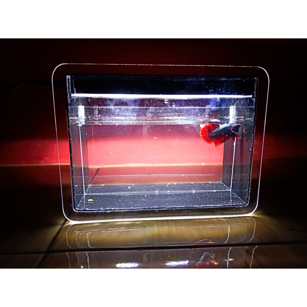 Soliter Akrilik Poseidon LED2 Black - SOLITER AKRILIK SELFIE - SOLITER AKRILIK SEKAT