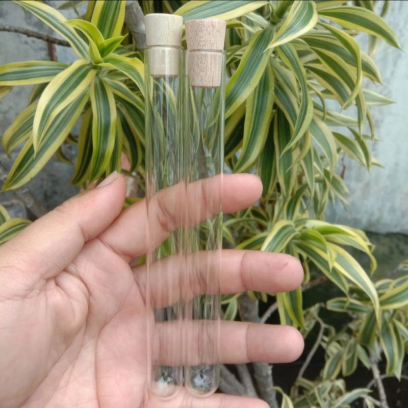 

Tabung Reaksi Kaca Tutup Kayu 25ml 16x150mm / Souvenir
