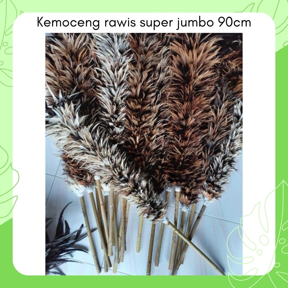 KEMOCENG BULU AYAM JAGO ASLI UKURAN JUMBO 90cm - KEMOCENG MOBIL MOTOR MICROFIBER CENDOL - KEMOCENG K