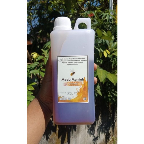 

Madu Multiflora langsung dari petaninya 1kg
