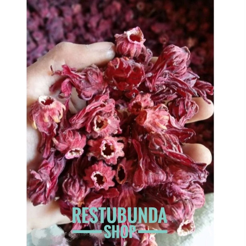 

Rosella Merah Kering Grosir Bunga Rosela Grade A