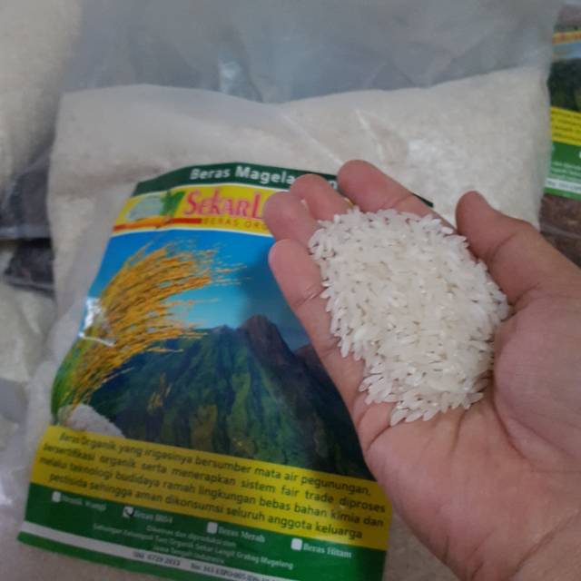 

BERAS ORGANIK PUTIH