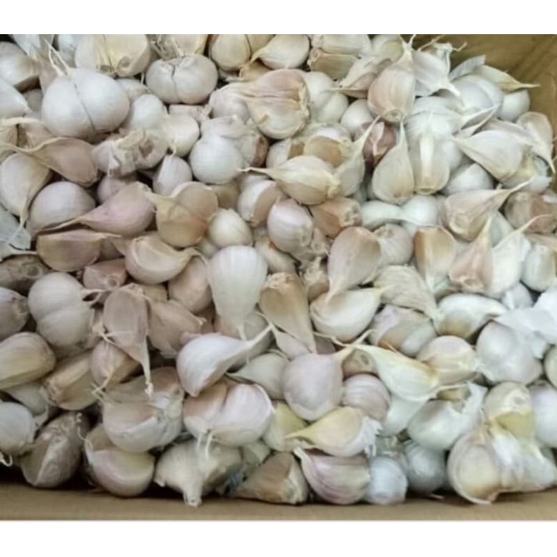 

Bawang Putih(Kating)250gram-500gram-1000gram