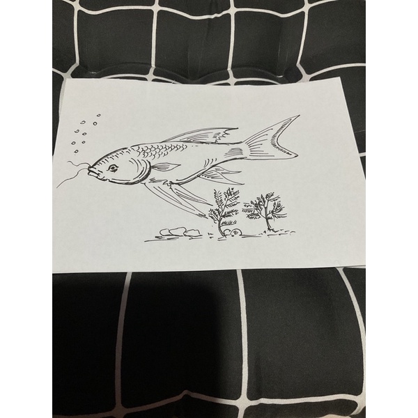 

Gambar ikan [READ DESC !]