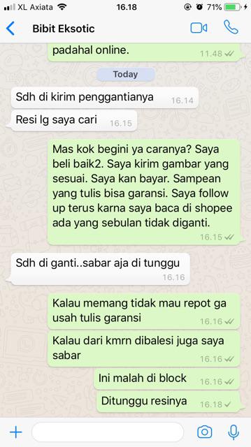 Tanaman Anggur Merah