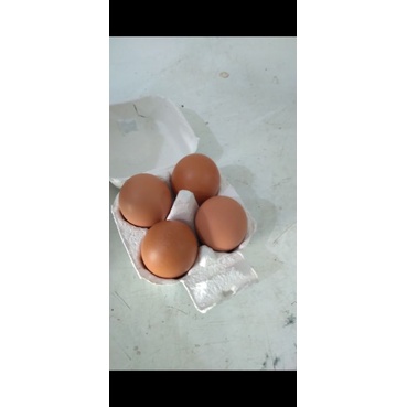 

Egg Box isi 4 butir