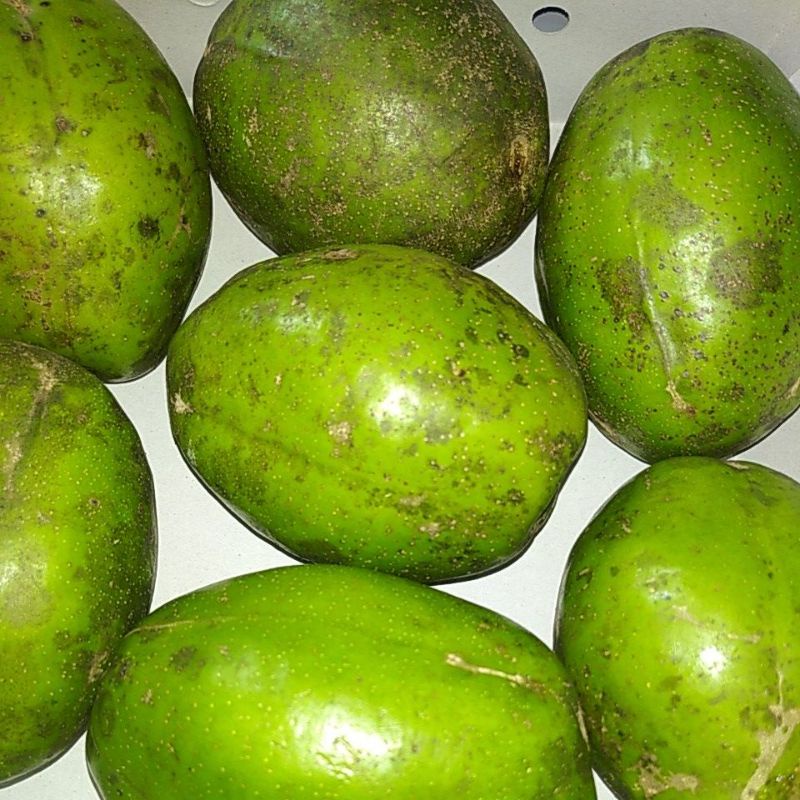 

Buah Dondong Dodong segar