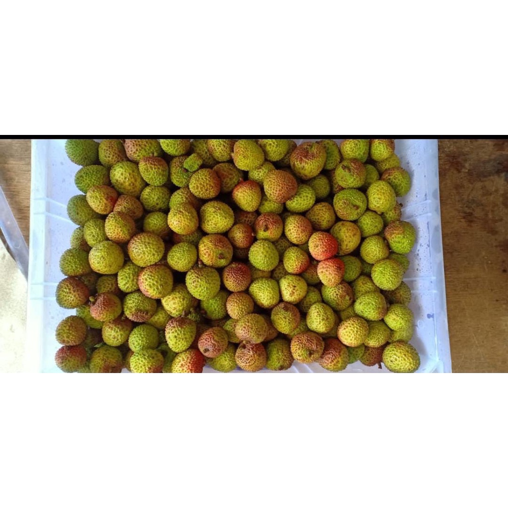 

Buah leci cina