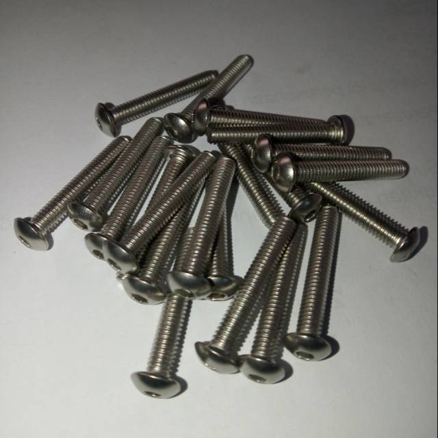 Button L M4 x 25 (2.5cm) stainless 304