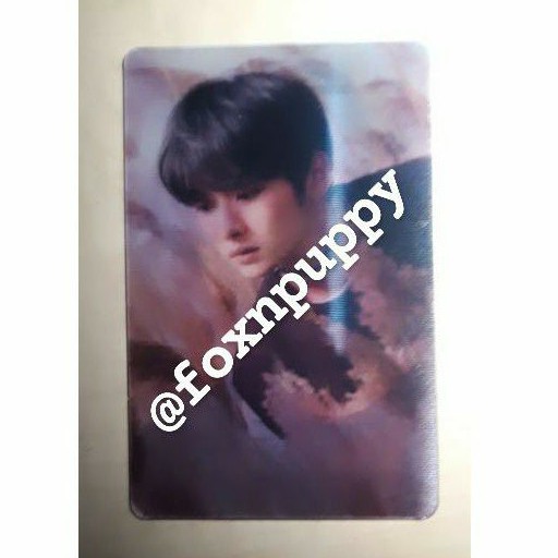 lenti levanter lee know (BOOKED)