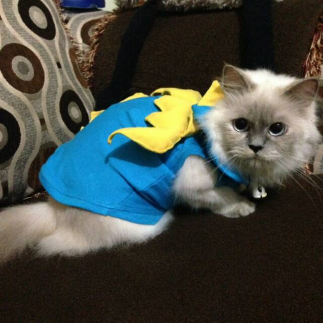 Kostum naga biru blue dragon untuk kucing &amp; anjing /Jual Baju Kucing Terlengkap &amp; Terbaik size S-XL