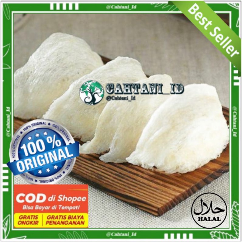 SARANG/ILER BURUNG WALET KERING MANGKOKAN  ASLI 100% PREMIUM ASLI KALIMANTAN OBAT CORONA COVID