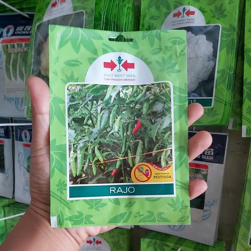 Benih Biji Bibit Cabe Rawit Hijau RAJO 350 biji