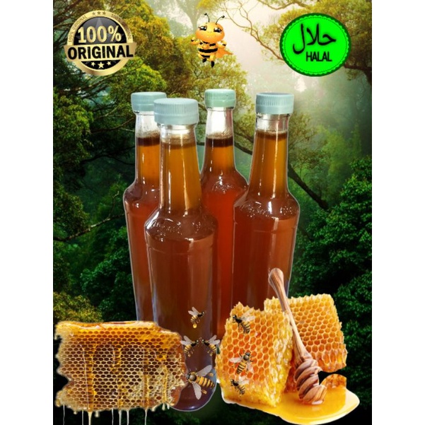 

MADU ASLI HUTAN TRENGGALEK