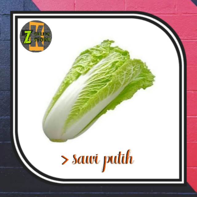 

Sawi putih (±500gr)