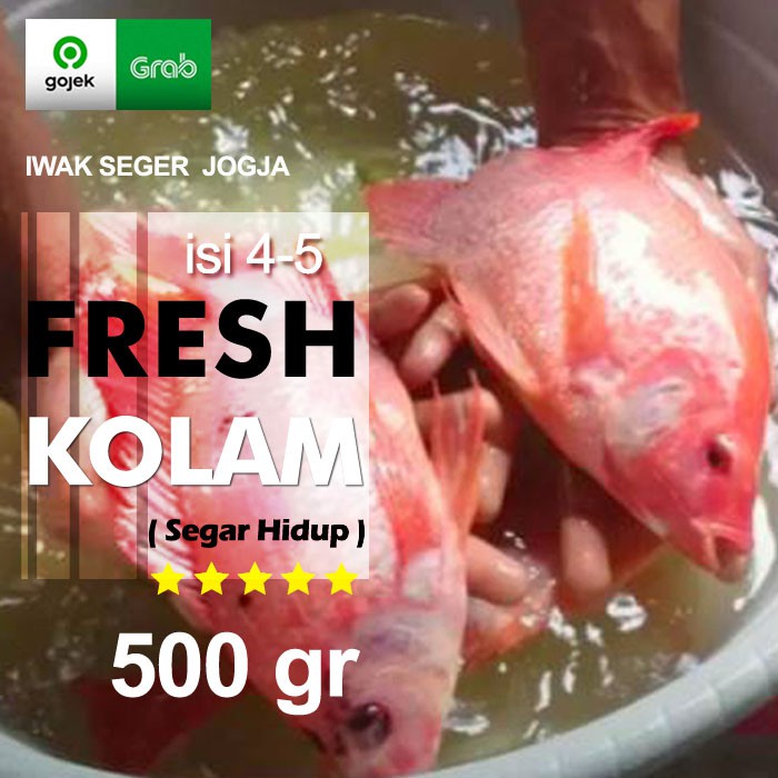 

Ikan NILA Segar 500 gr (isi 4-5 per Kg)