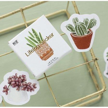 Lifelog Label Stickers - Succulent Dish (45pcs)