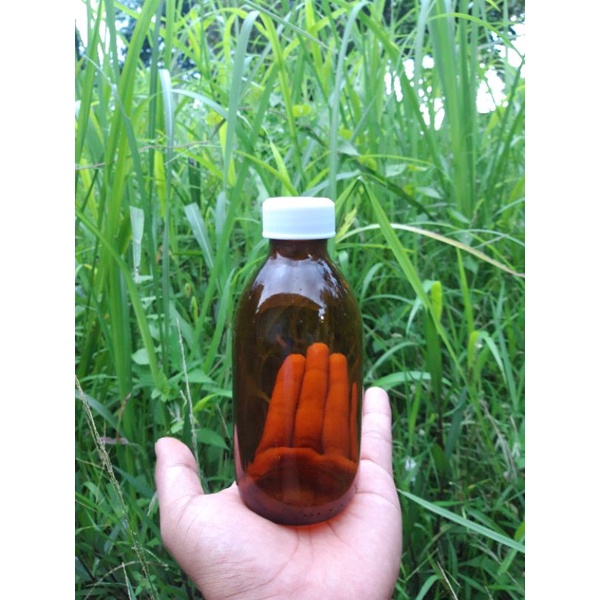 botol kaca coklat 200ml